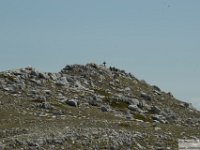 2026-05-09 Le cime di Casamaina 122